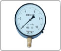 sk-100、150膜(mó)盒壓(yā)力表(biǎo)