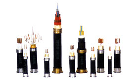 本安型電(diàn)子計(jì)算(suàn)機(jī)用信(xìn)号電纜