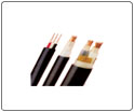 固定布線用(yòng)無護套電纜