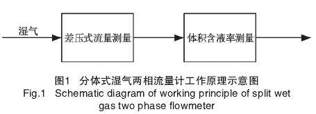 分體(tǐ)式濕氣(qì)兩相(xiàng)流量計工(gōng)作原理圖示(shì)