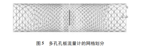 多(duō)孔孔(kǒng)闆流(liú)量計的網(wǎng)格劃分圖示