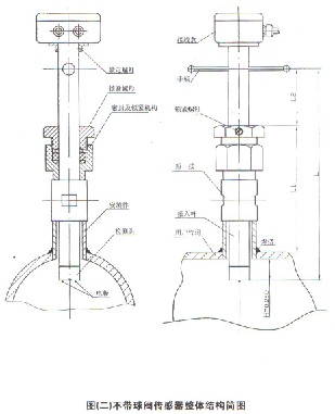 插入式(shì)電磁流量計(jì)不帶球閥結(jié)構(gòu)圖