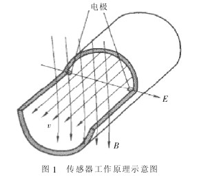 電磁(cí)流(liú)量(liàng)計傳感器(qì)工作原理(lǐ)圖(tú)