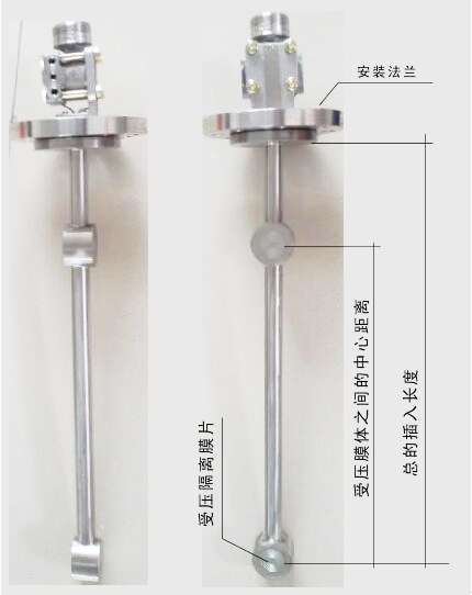 頂裝(zhuāng)型(xíng)差壓式密(mì)度計圖示